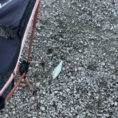 Review photo of Howell Station by Kathy B., June 16, 2026