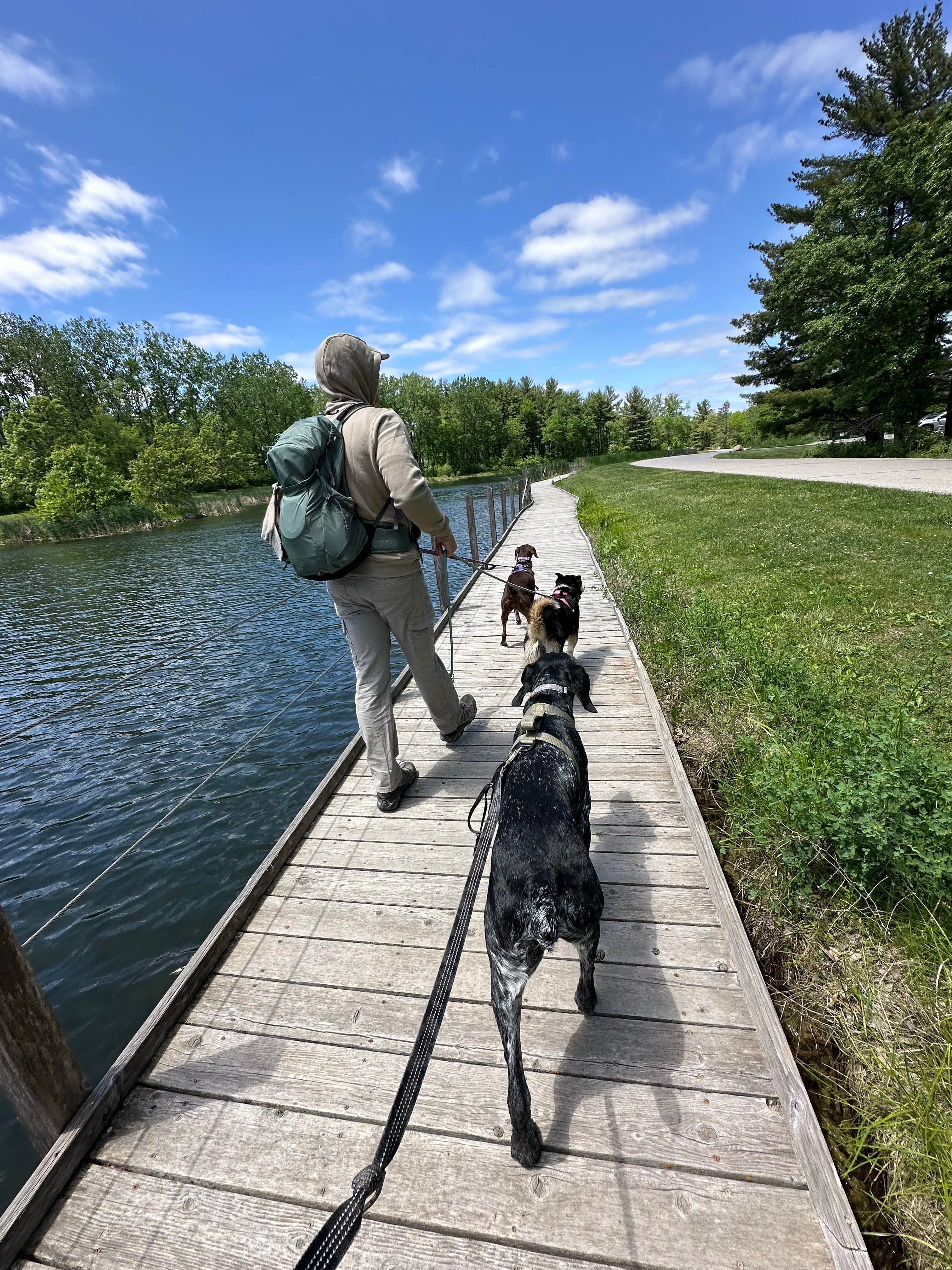 Lindsey M.'s photo of camping with pets at Jester County Park in Iowa