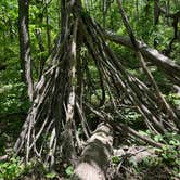 Review photo of Jester County Park by Lindsey M., May 19, 2025