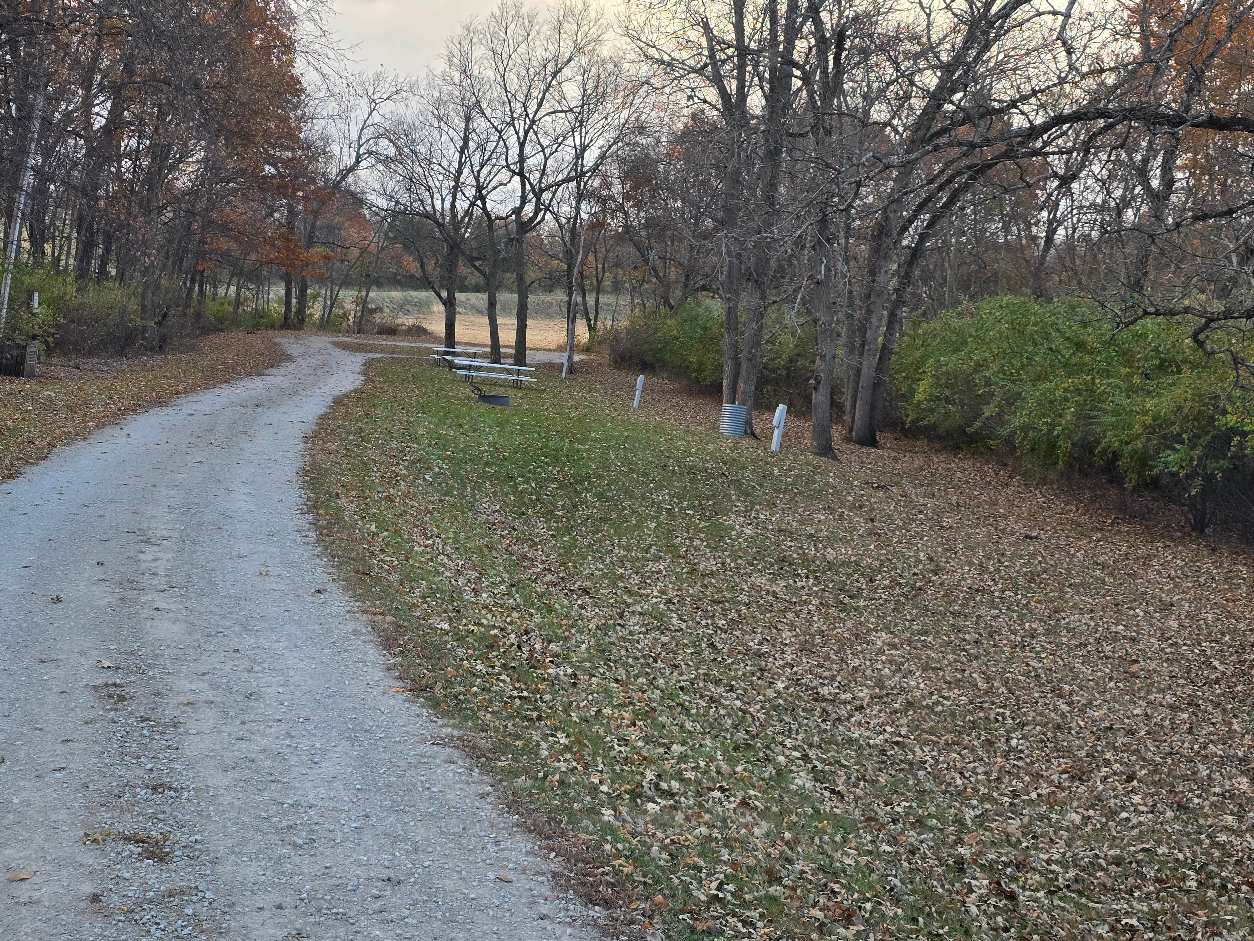 Camper submitted image from Kokesh Co Park - 1