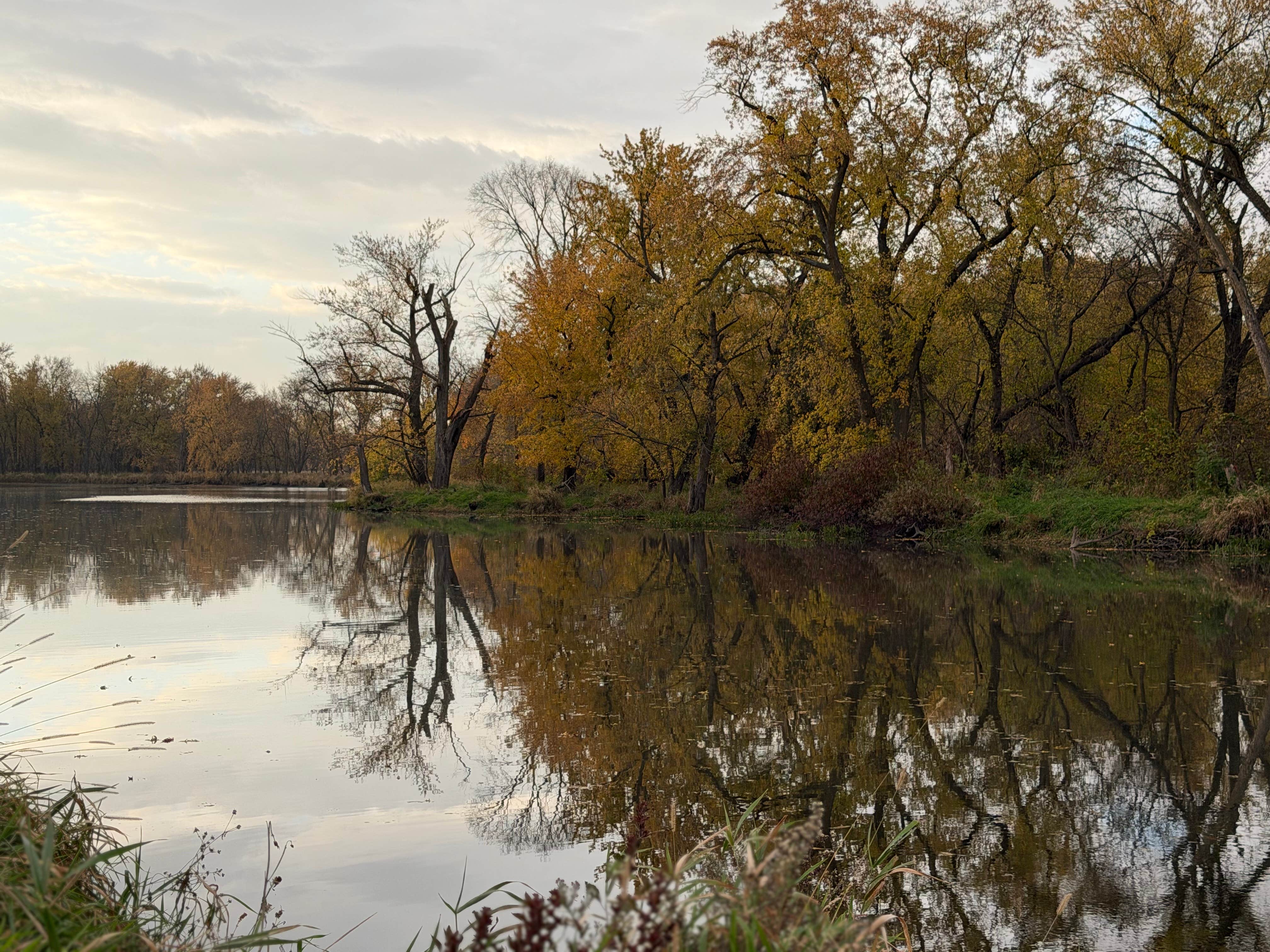 Camper-submitted photo at Lake Considine near Evansdale, IA