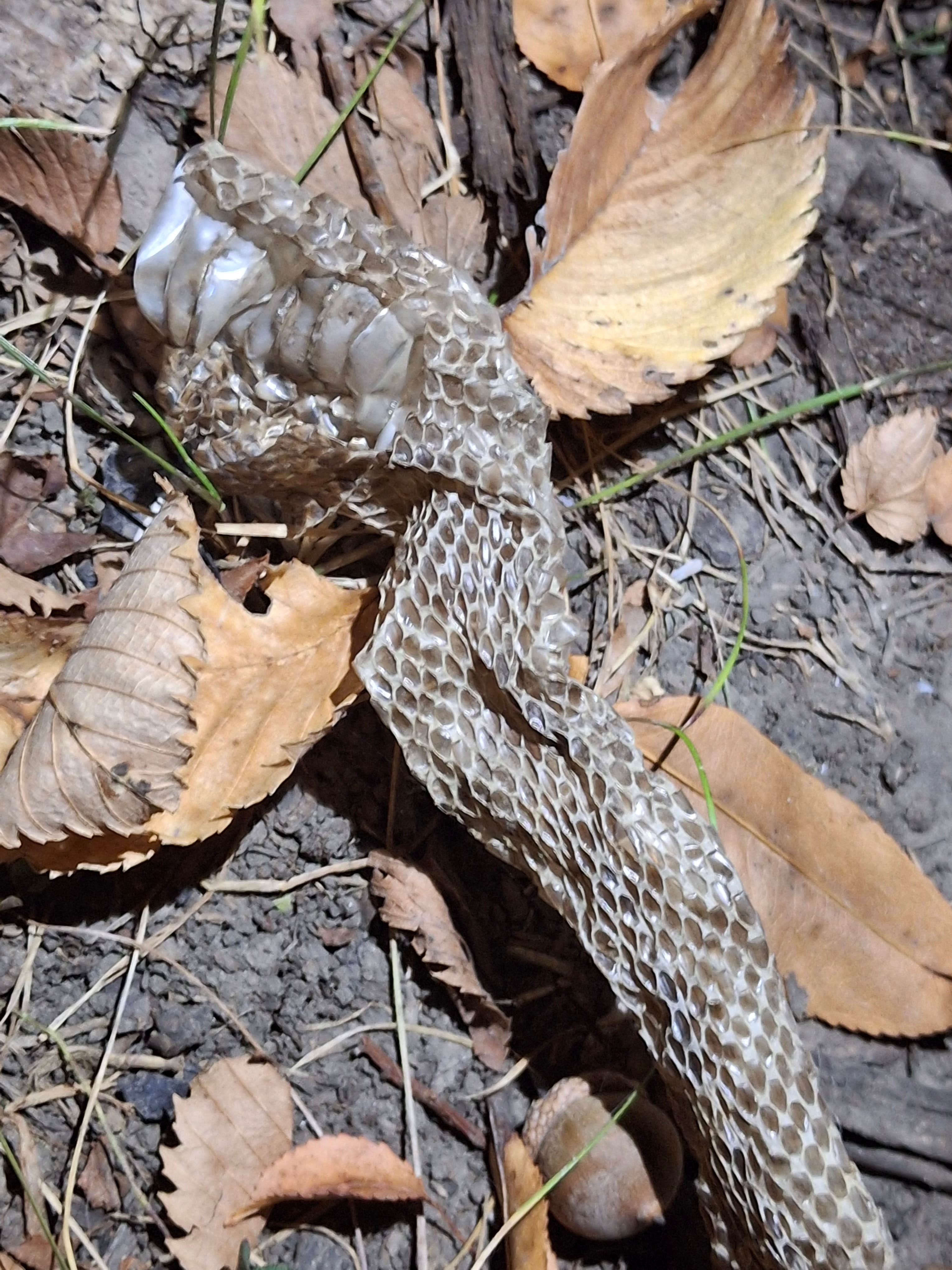 Camper-submitted photo at Lake Iowa County Park near Gladbrook, IA