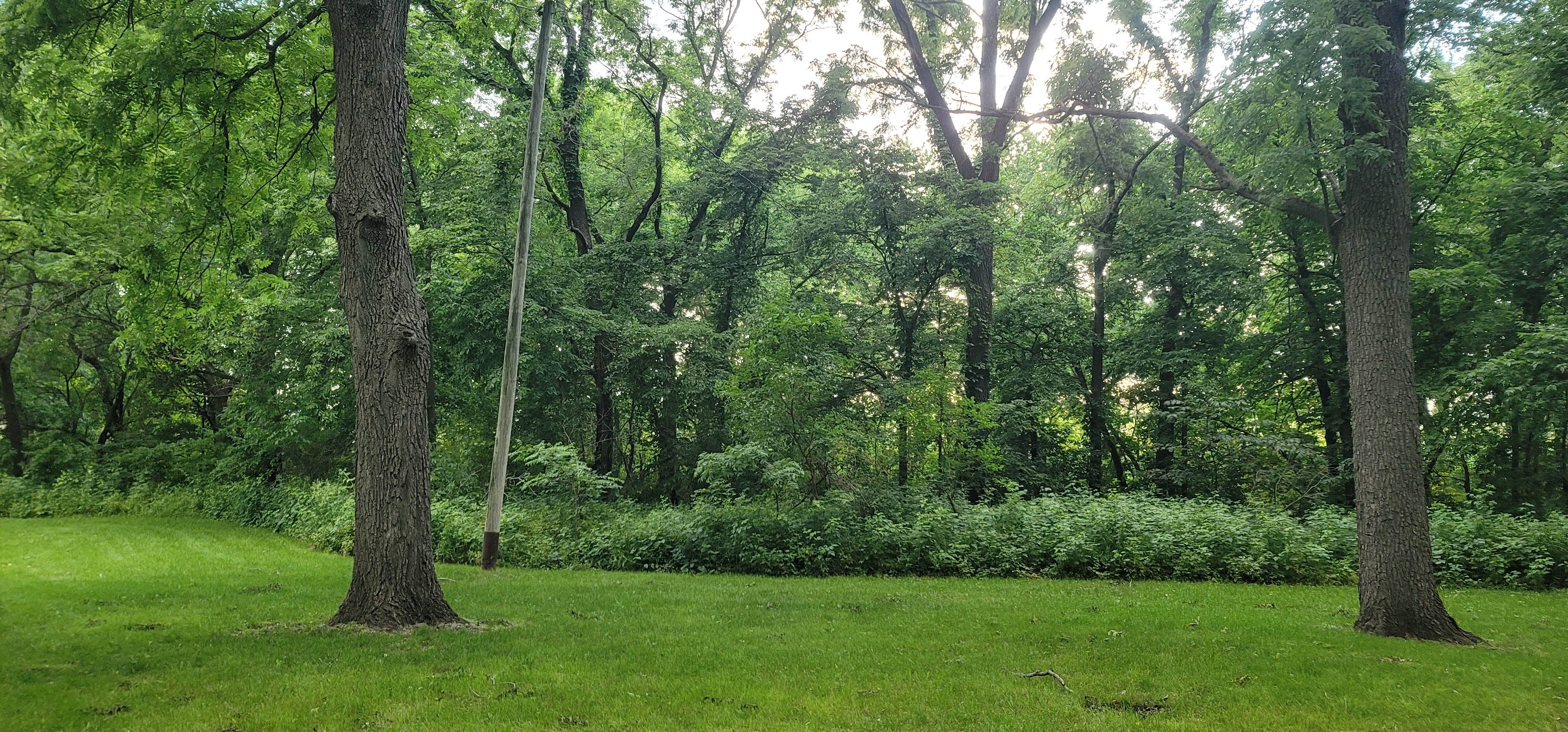 Camper-submitted photo at Lime Creek Park near Vinton, IA