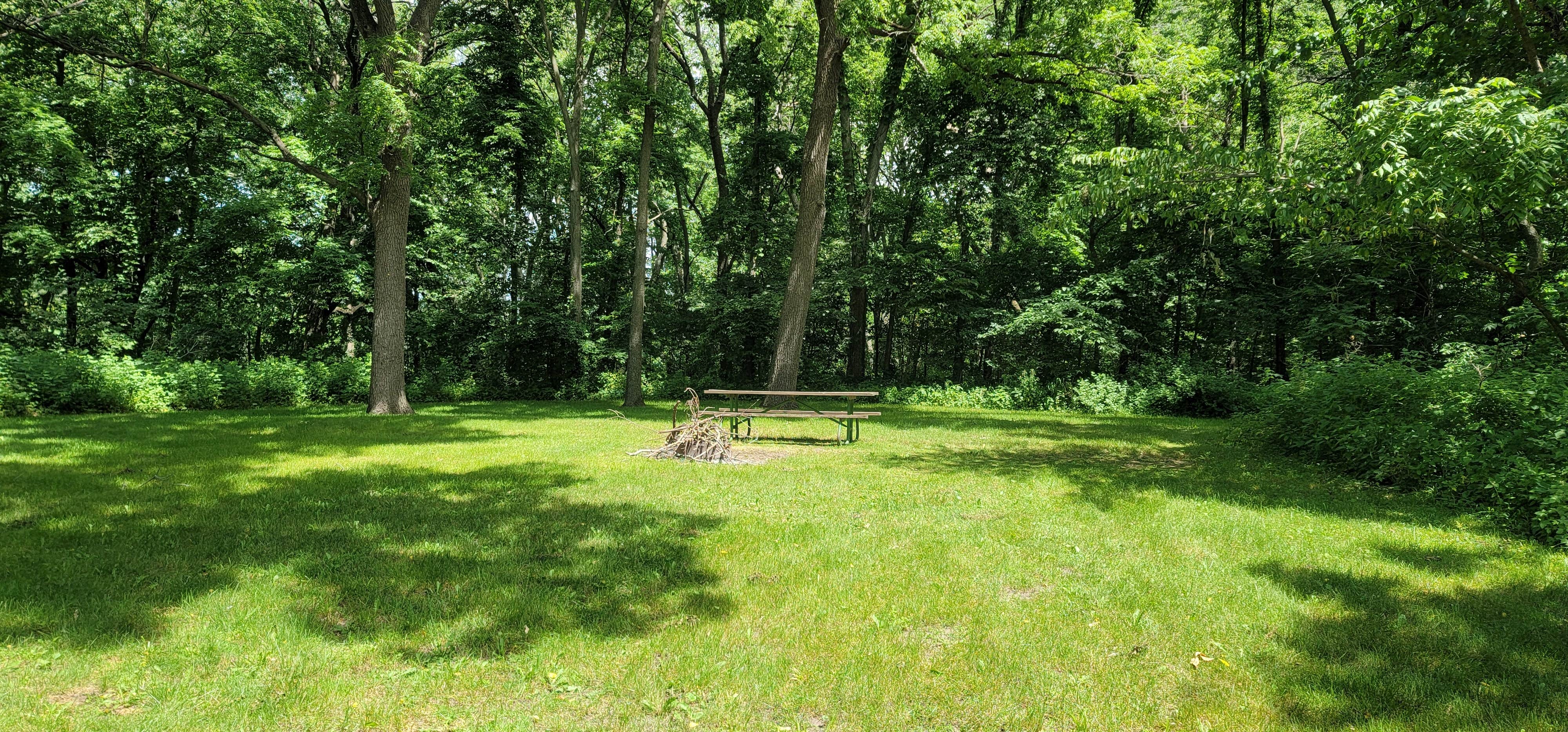 Camper-submitted photo at Lime Creek Park near Vinton, IA