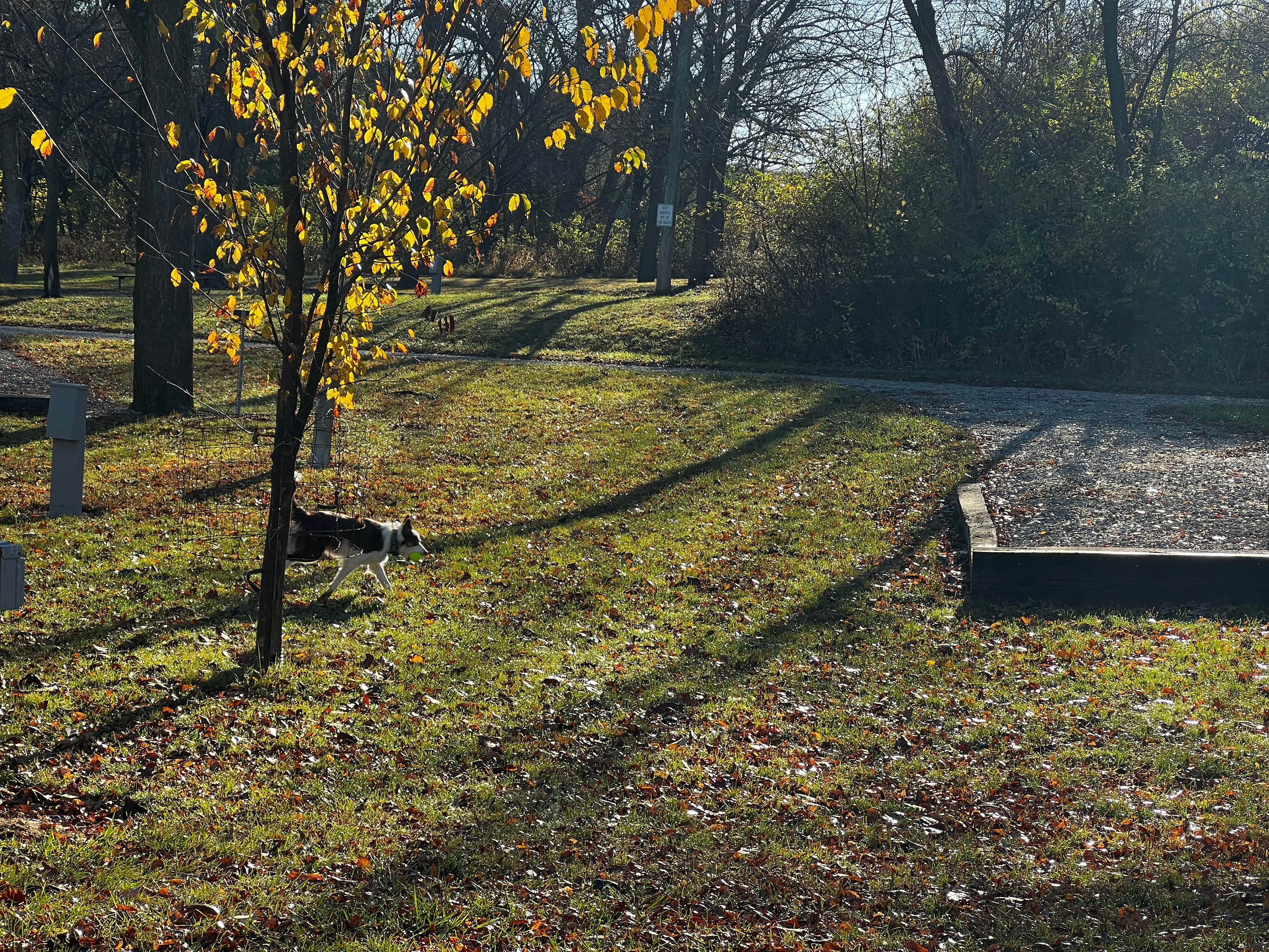 Camper-submitted photo at Littlefield Rec Area near Audubon, IA