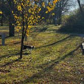 Review photo of Littlefield Rec Area by Roger , November 11, 2024