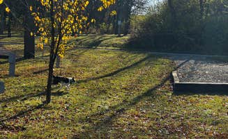 Roger's photo of camping with pets at Littlefield Rec Area near Villisca, IA