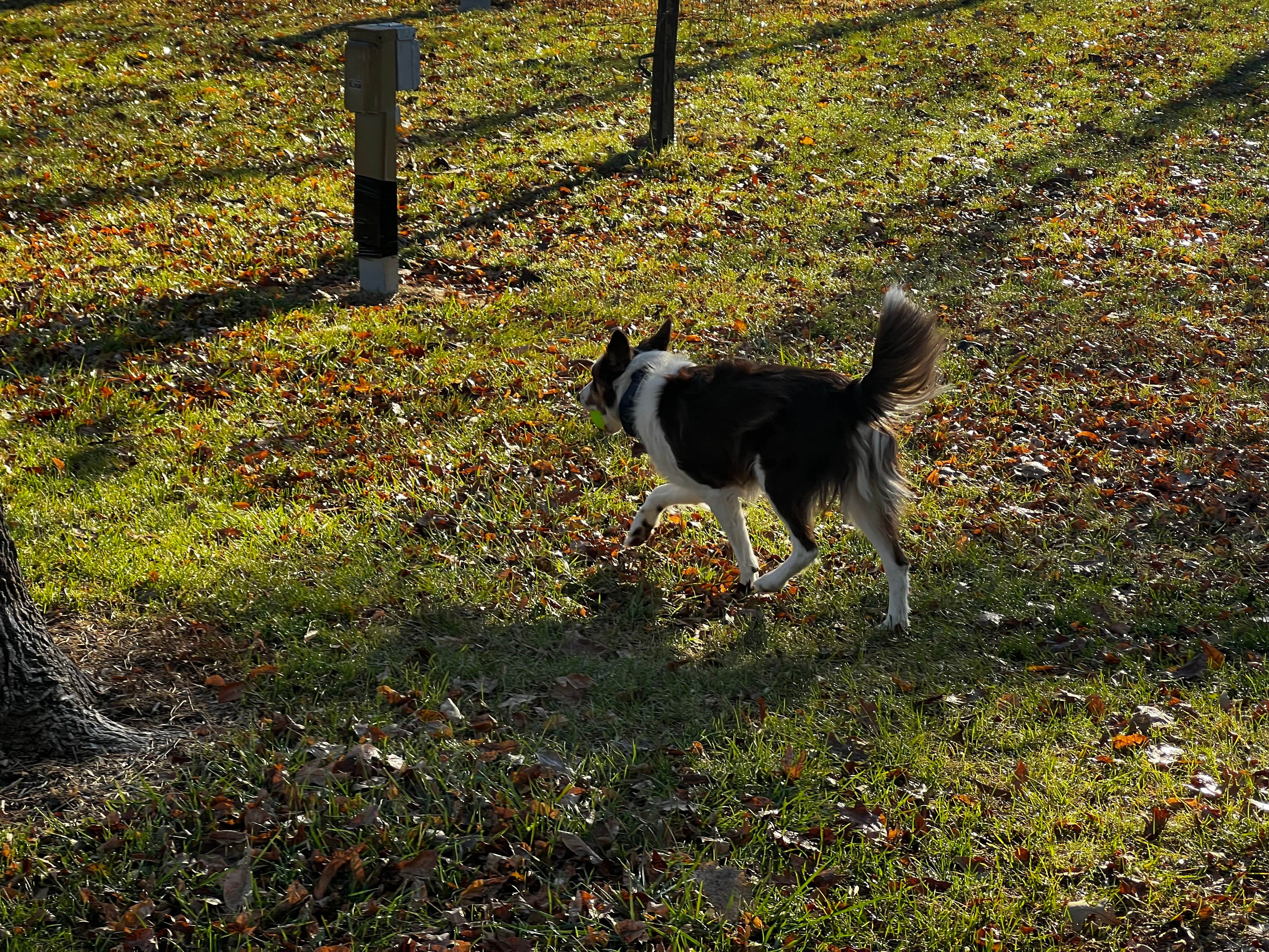 Camper-submitted photo at Littlefield Rec Area near Audubon, IA