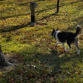 Review photo of Littlefield Rec Area by Roger , November 11, 2024