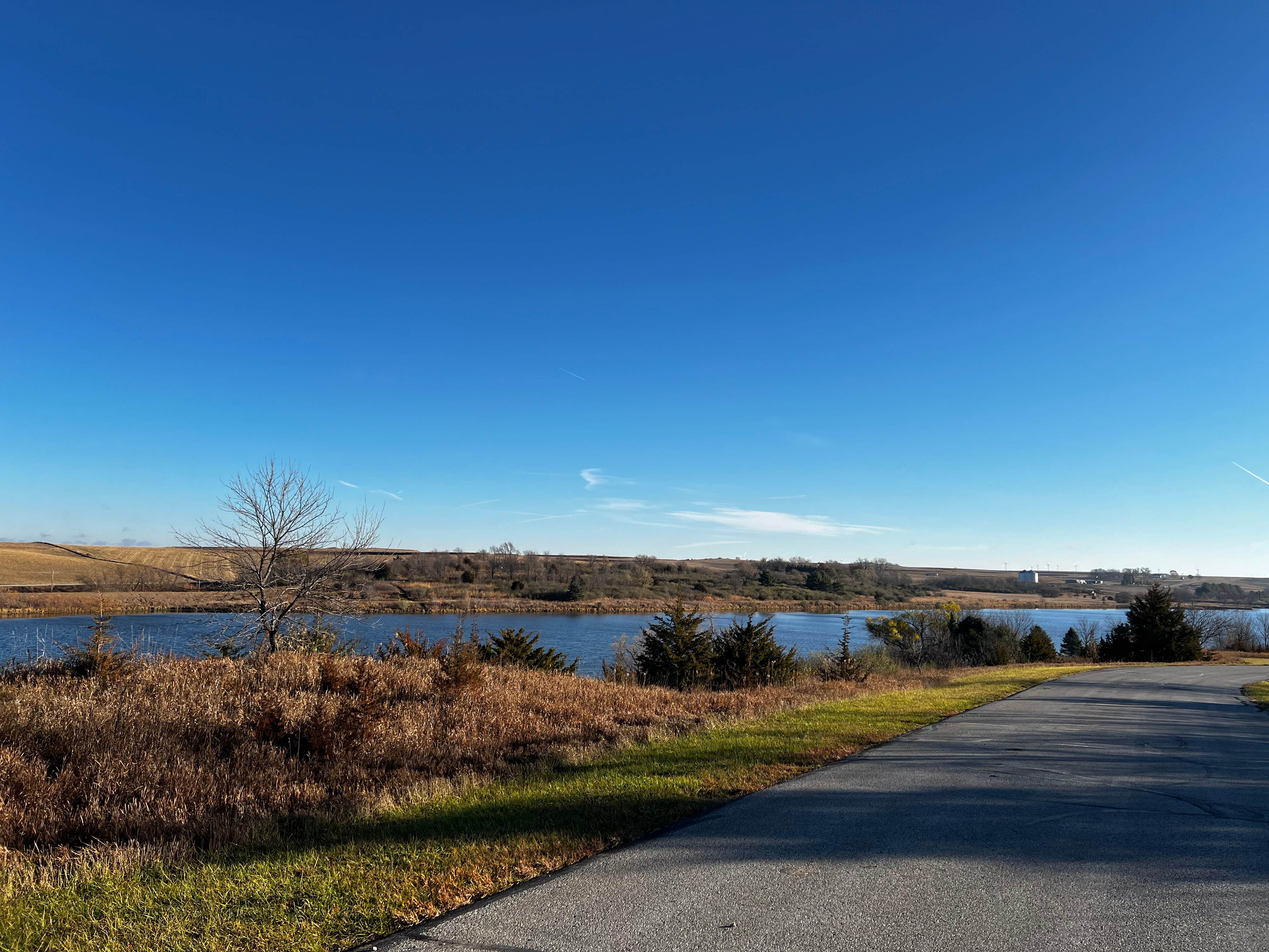 Camper submitted image from Littlefield Rec Area - 4