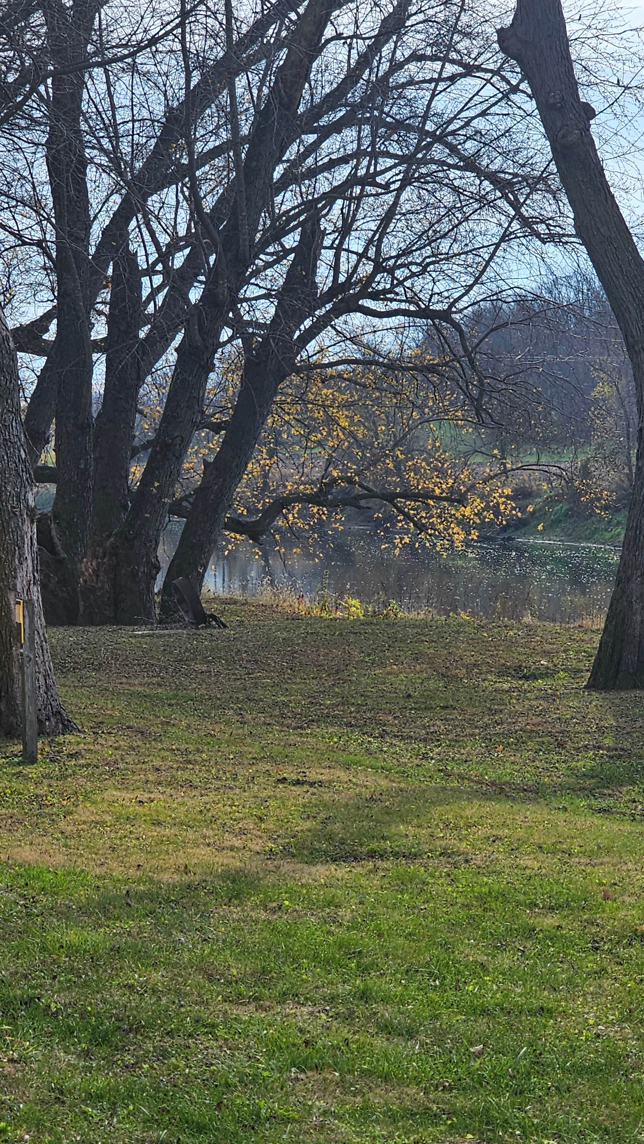 Camper-submitted photo at Lower Augusta Skunk River Access near Burlington, IA