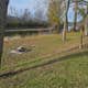 Lower Augusta Skunk River Access