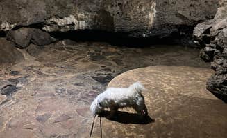 Demeri C.'s photo of camping with pets at Maquoketa Caves State Park Campground near Monticello, IA