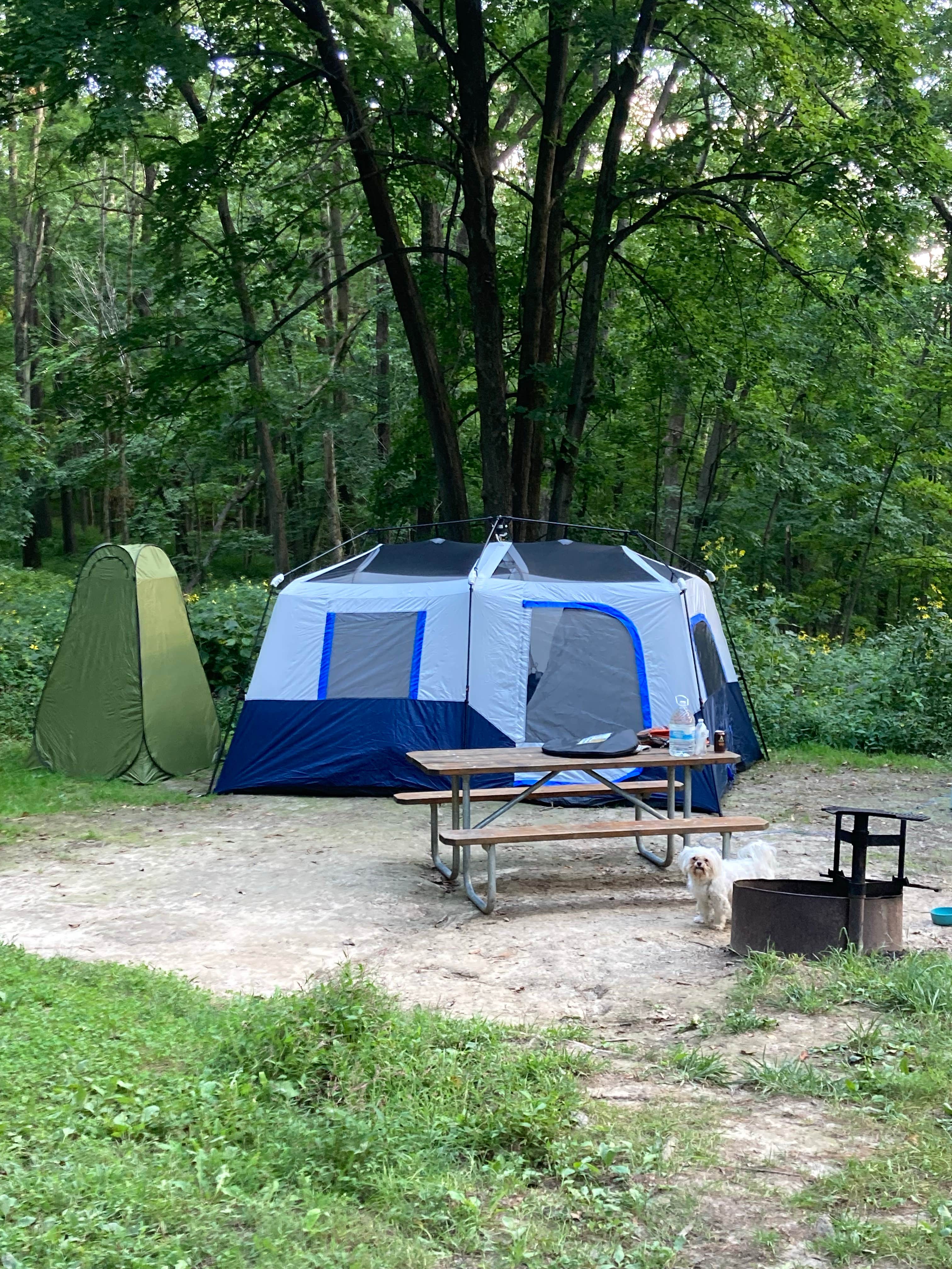 Demeri C.'s photo at Maquoketa Caves State Park Campground near Maquoketa, IA