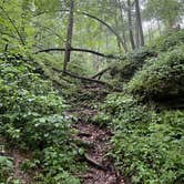 Review photo of Maquoketa Caves State Park Campground by Dani P., June 8, 2026