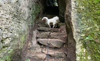 Demeri C.'s photo of camping with pets at Maquoketa Caves State Park Campground near Dubuque, IA