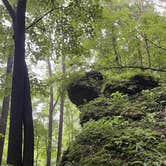Review photo of Maquoketa Caves State Park Campground by Dani P., June 8, 2026