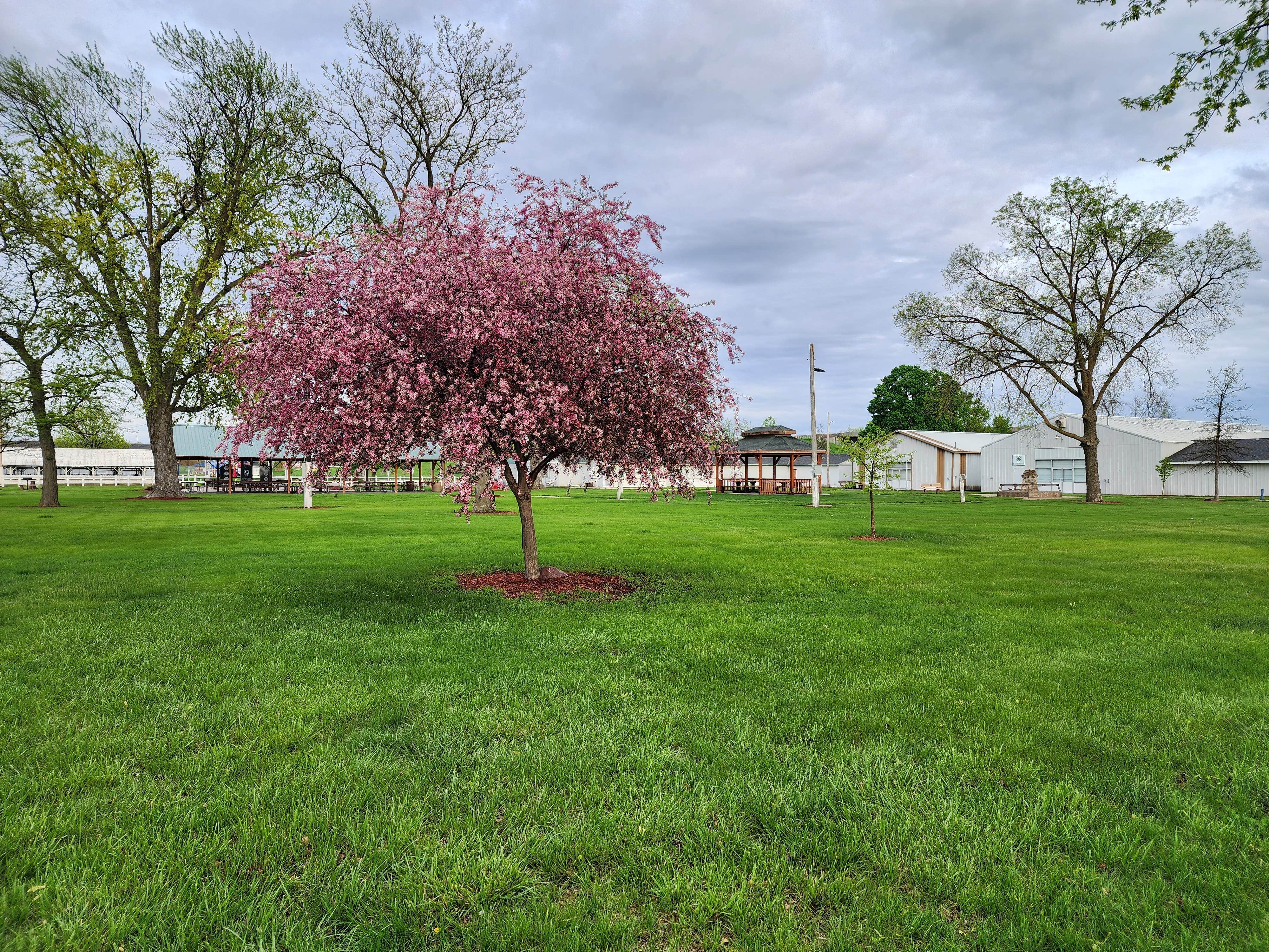 Camper submitted image from Missouri Valley City Park - 1