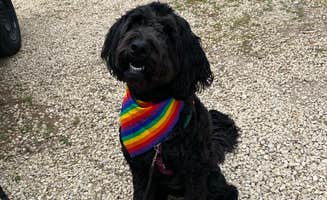 Truly W.'s photo of camping with pets at Pikes Peak State Park Campground near Prairie du Chien, WI
