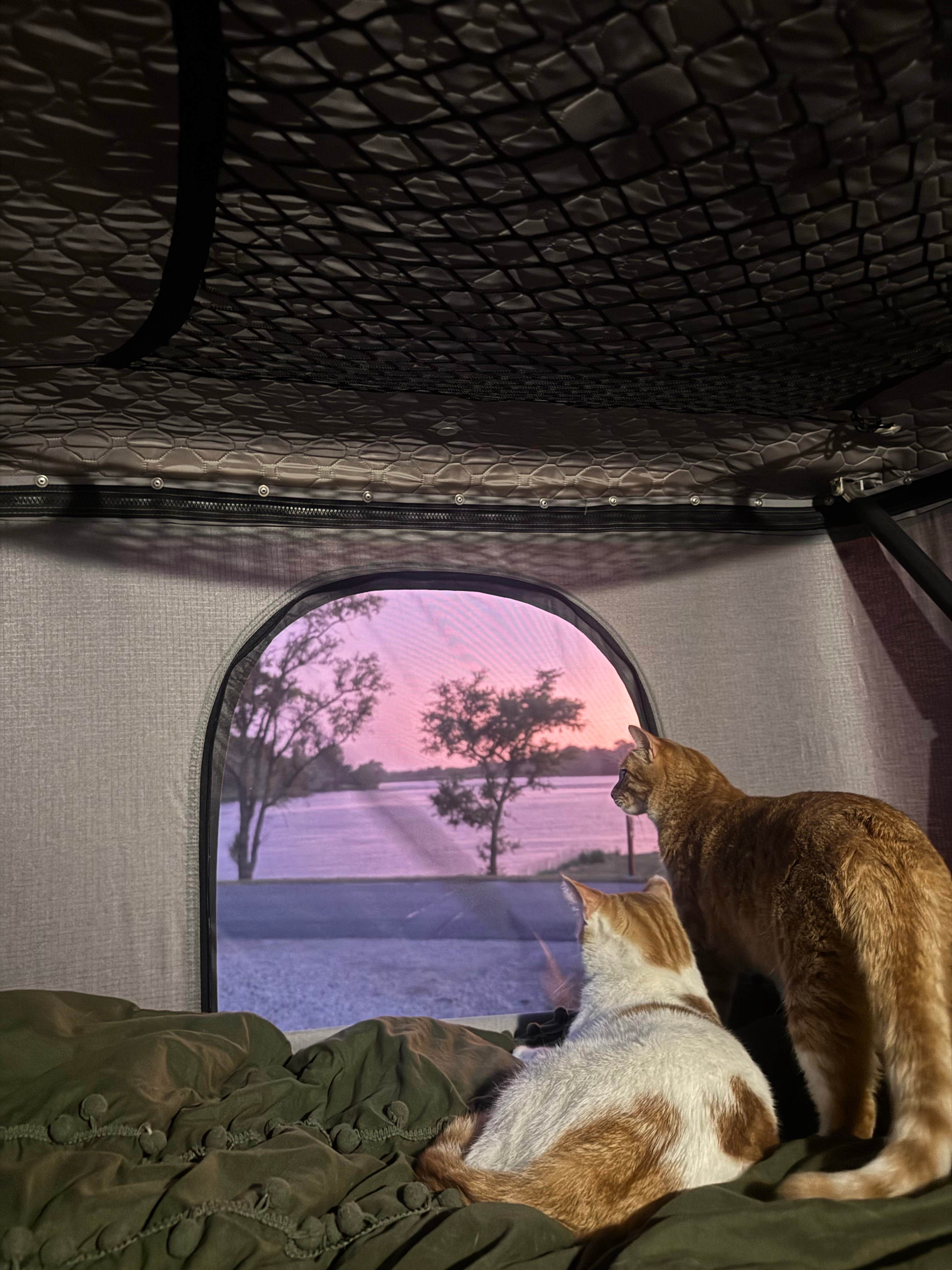 Kaelyn H.'s photo of camping with pets at Prairie Rose State Park Campground near Carroll, IA