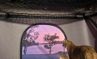 Kaelyn H.'s photo of camping with pets at Prairie Rose State Park Campground near Villisca, IA