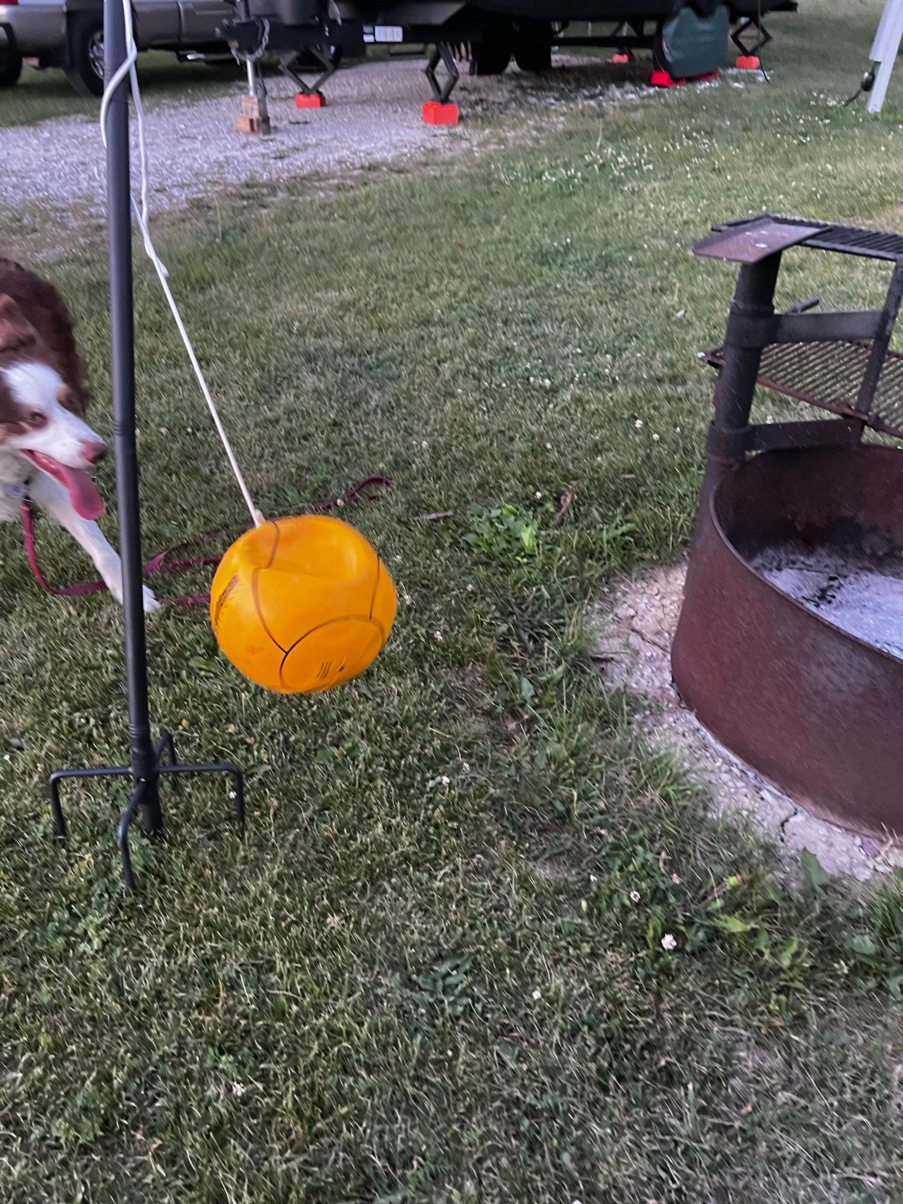 Roger's photo of camping with pets at Prairie Rose State Park Campground near Lake View, IA