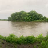 Review photo of Ranney Knob Area by Joshua D., June 2, 2024