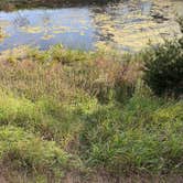Review photo of Reiff Park by Regina G., October 8, 2026