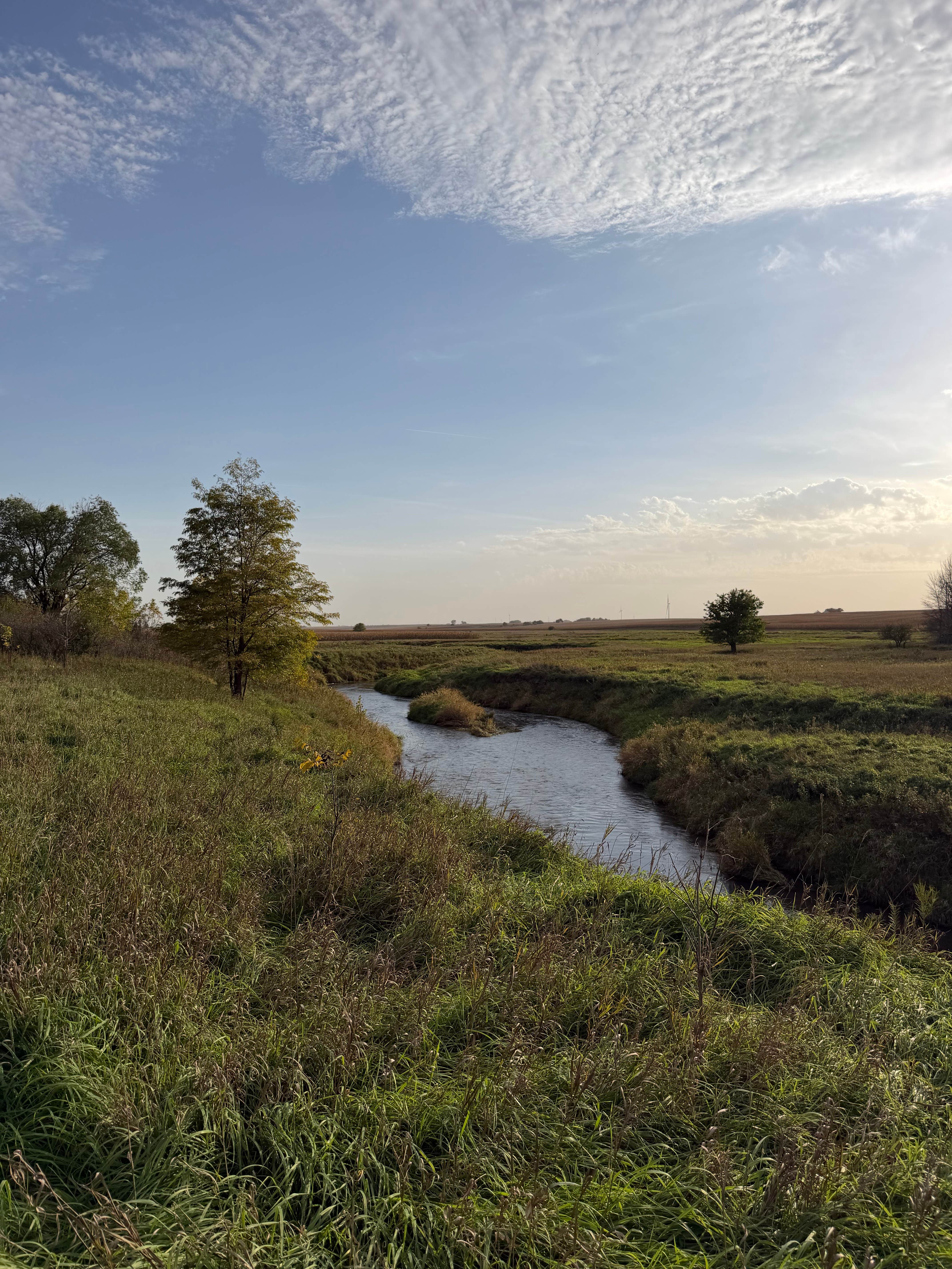 Camper-submitted photo at Reiff Park near Lake View, IA