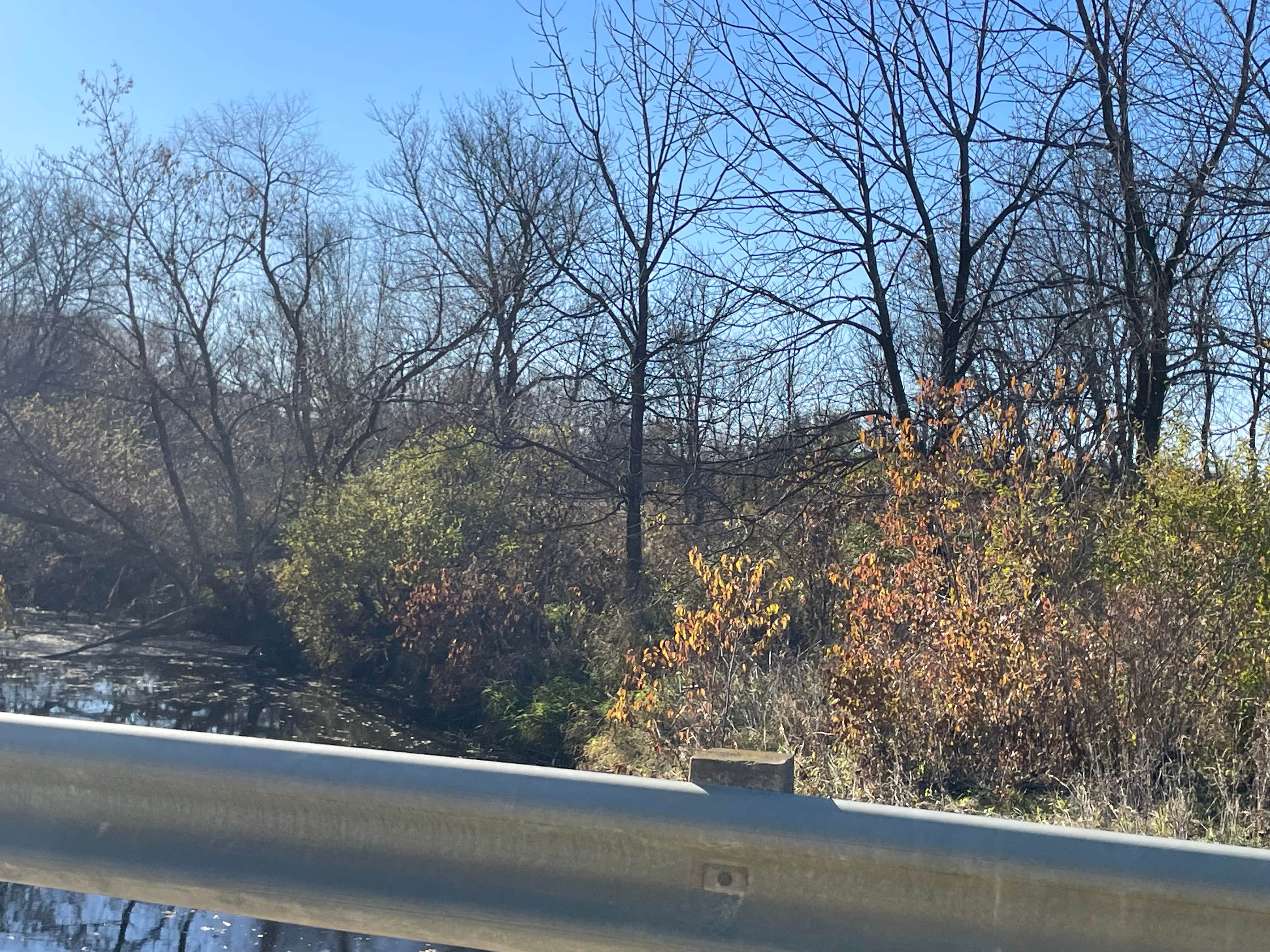 Camper-submitted photo at Saude Rec Area near Calmar, IA