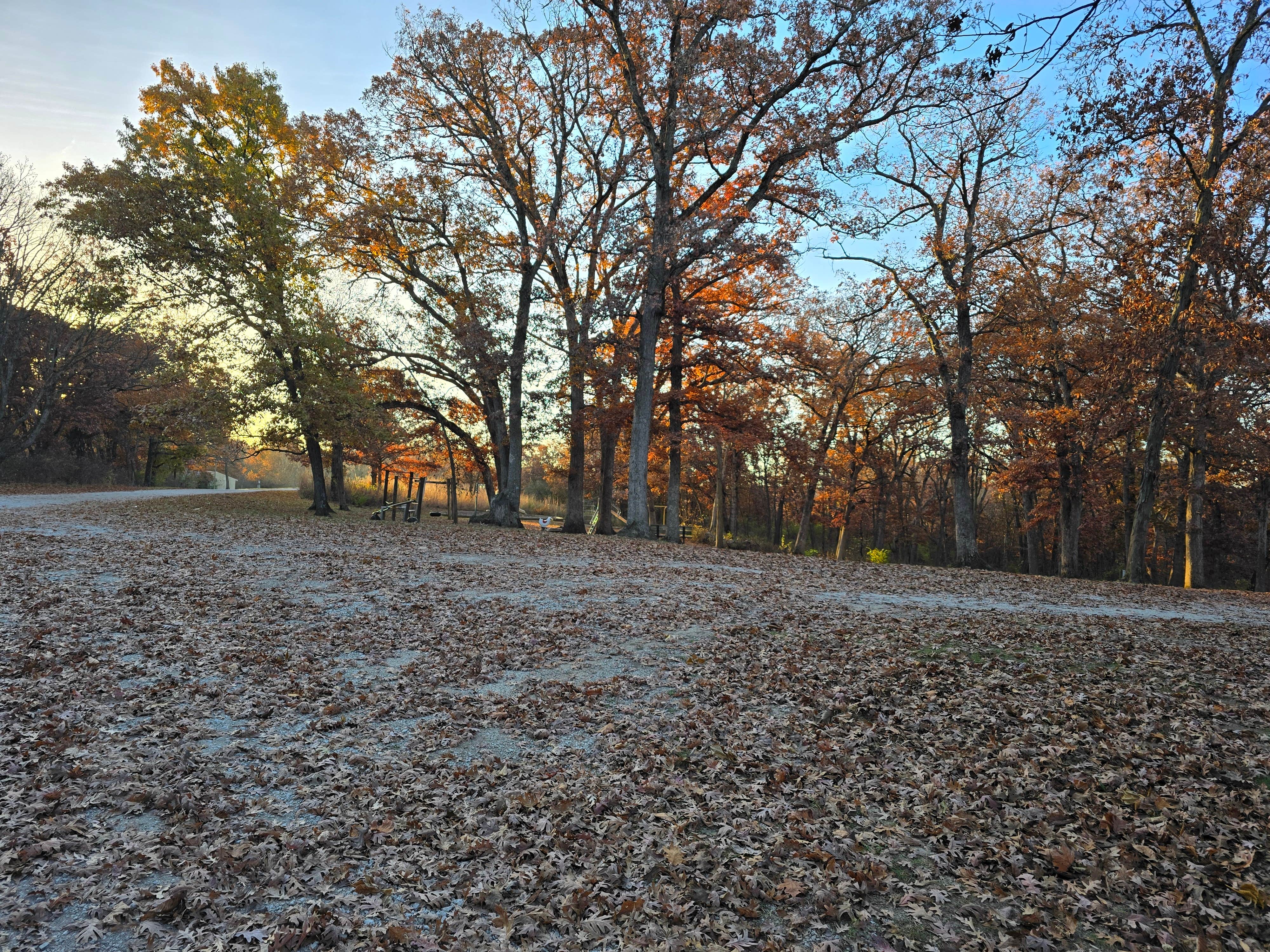 Camper-submitted photo at Slip Bluff County Park near Davis City, IA
