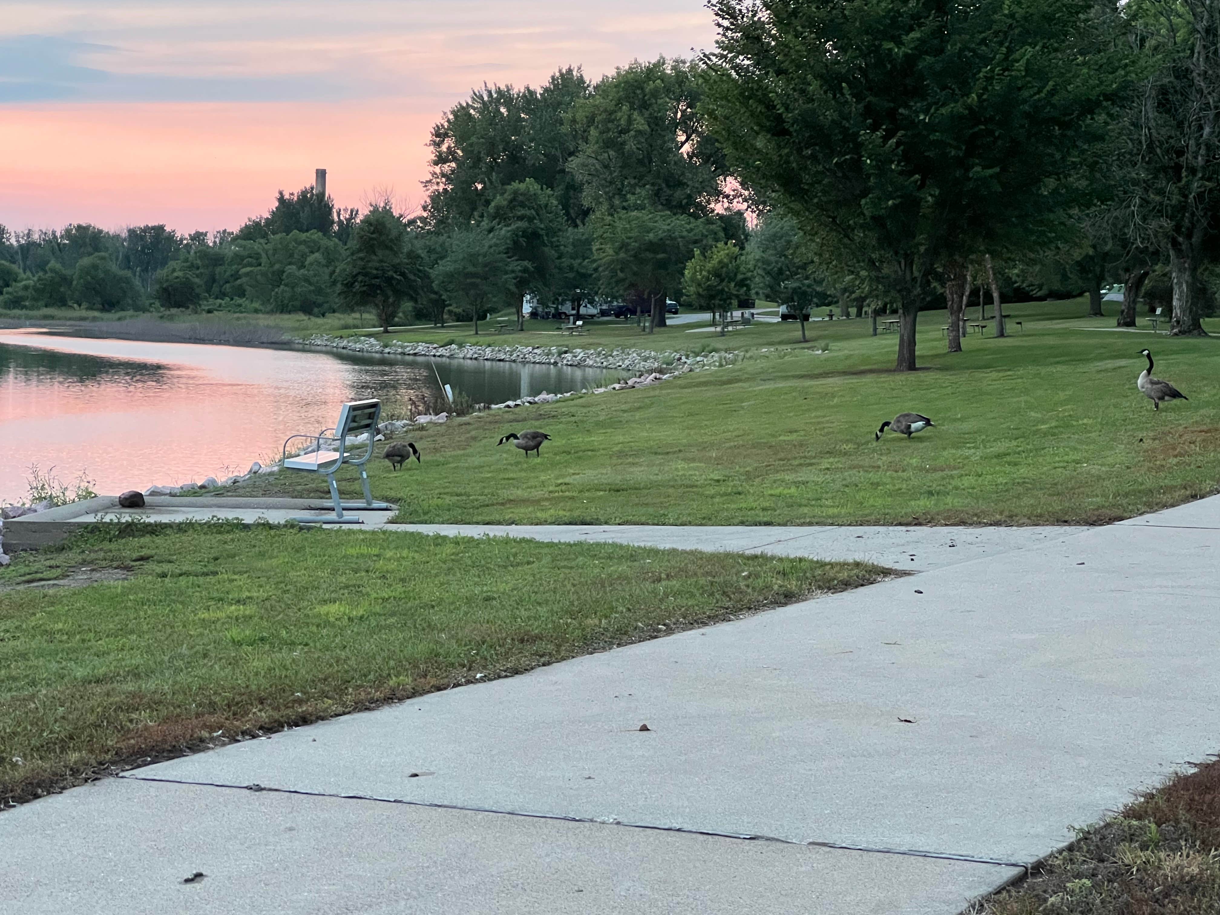 Camper submitted image from Snyder Bend County Park - 5