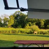 Review photo of Wanatee Park (formerly Squaw Creek) by Brett S., May 19, 2025