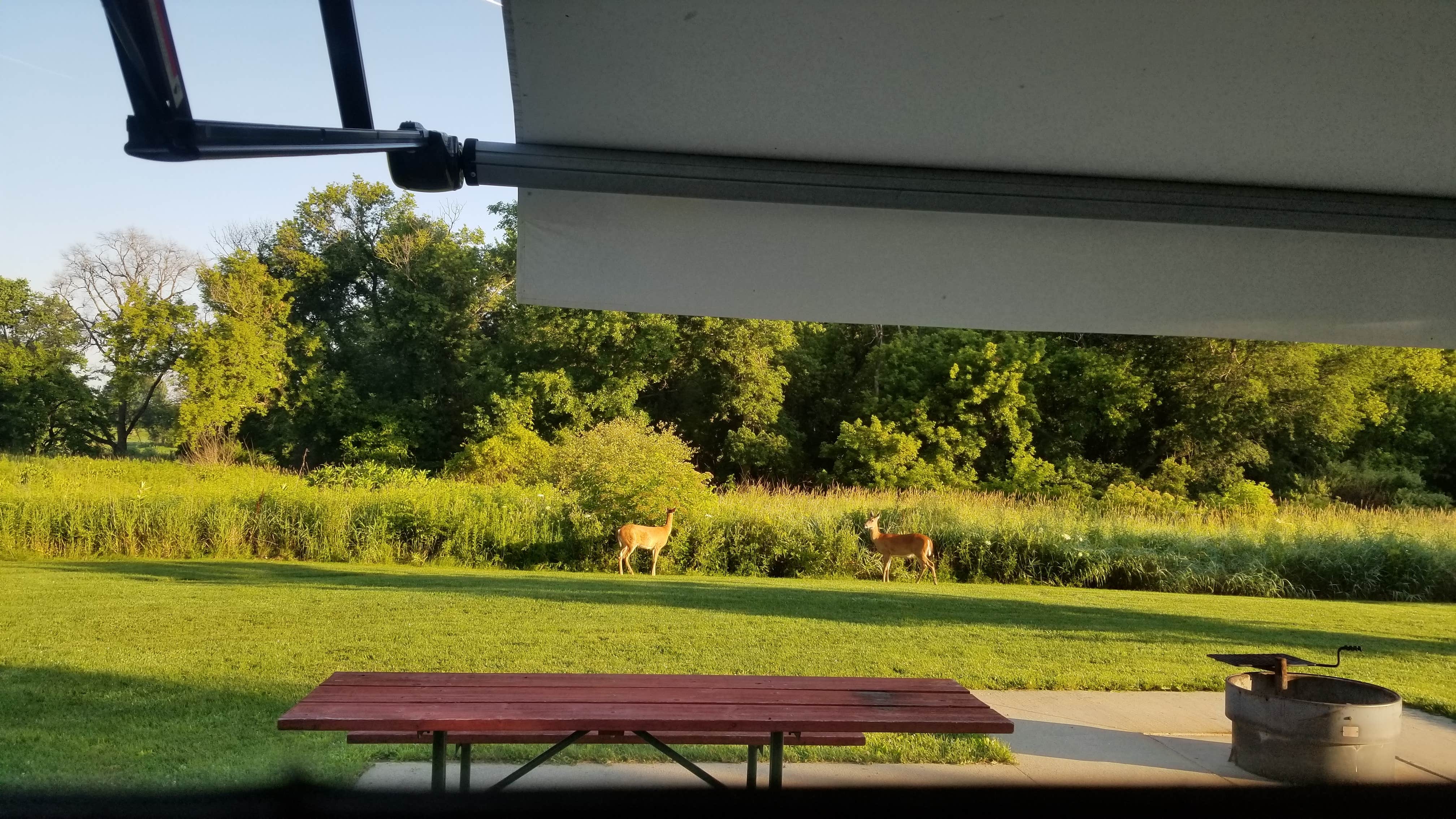 Camper submitted image from Wanatee Park (formerly Squaw Creek) - 1