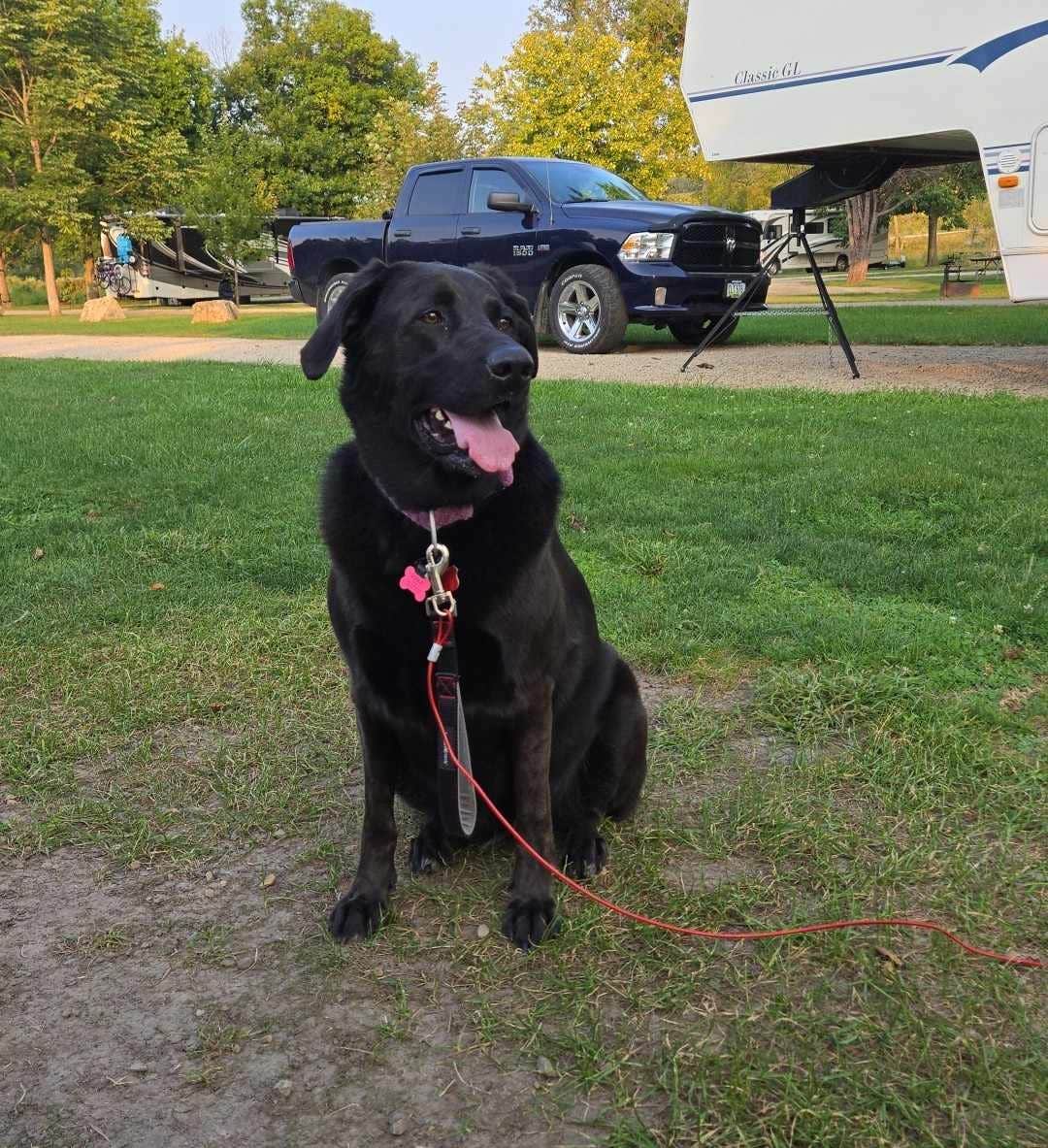 Camper-submitted photo at Swiss Valley County Park near Marquette, IA