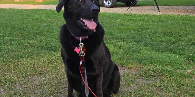 Camper submitted image from Swiss Valley County Park