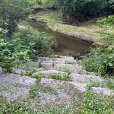 Review photo of Thomas Mitchell County Park by susan F., July 16, 2026