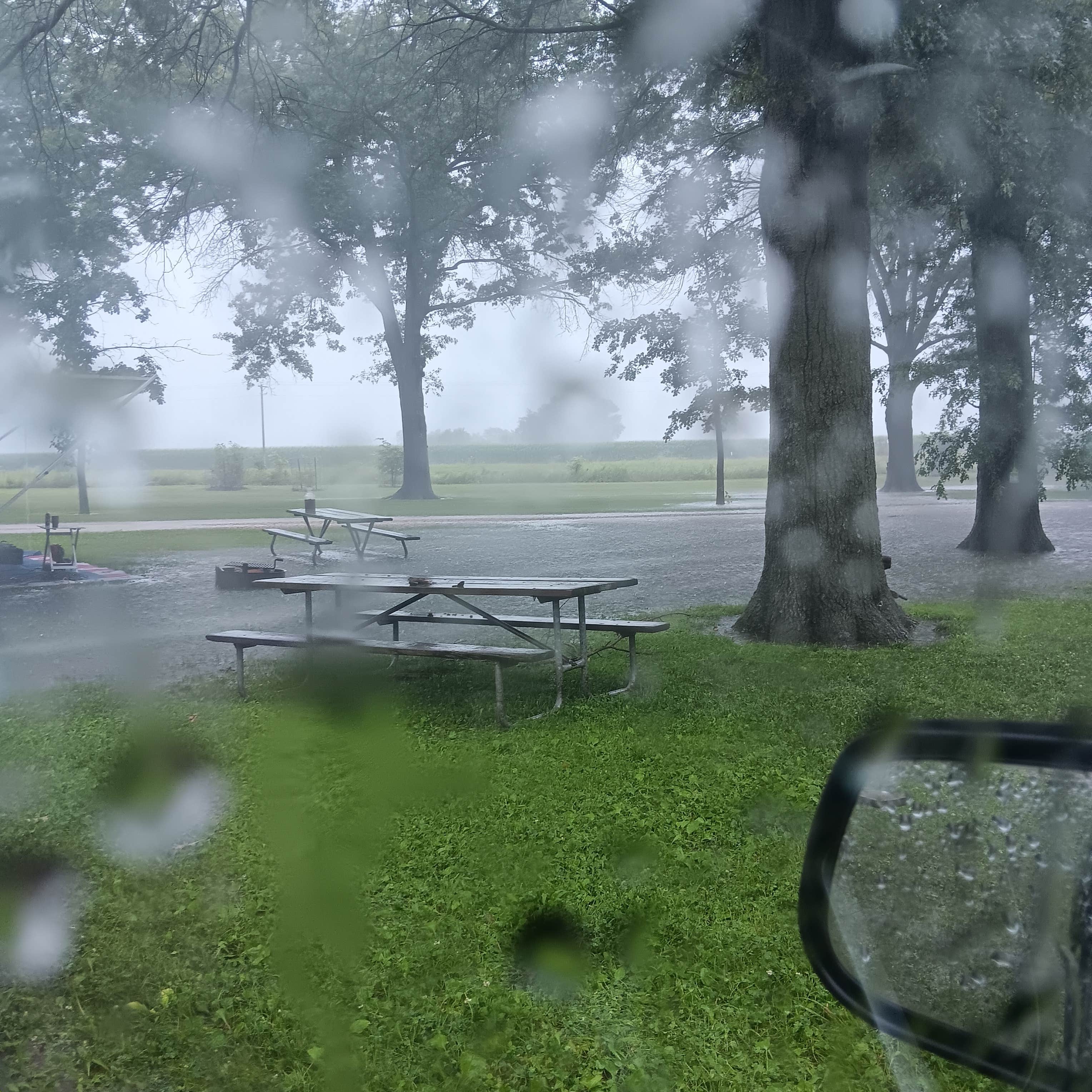 Camper-submitted photo at Timmons Grove County Park near Ferguson, IA