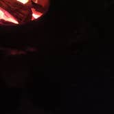 Review photo of Timmons Grove County Park by IzzyMay H., July 30, 2026