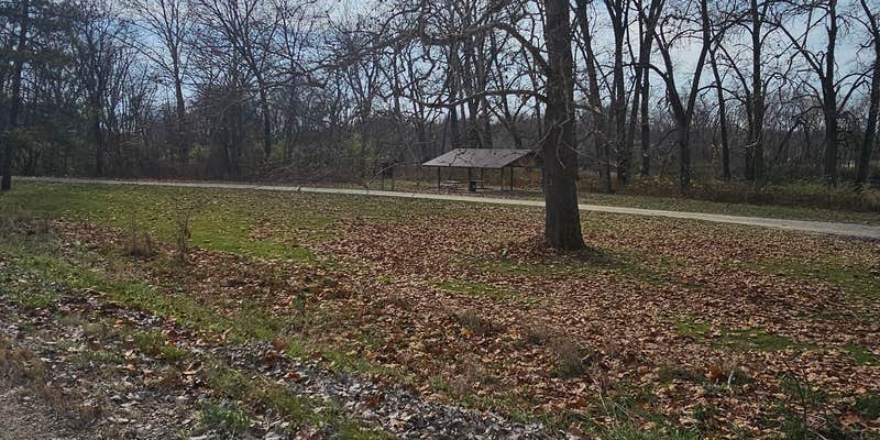 Camper submitted image from Upper Augusta Skunk River Access