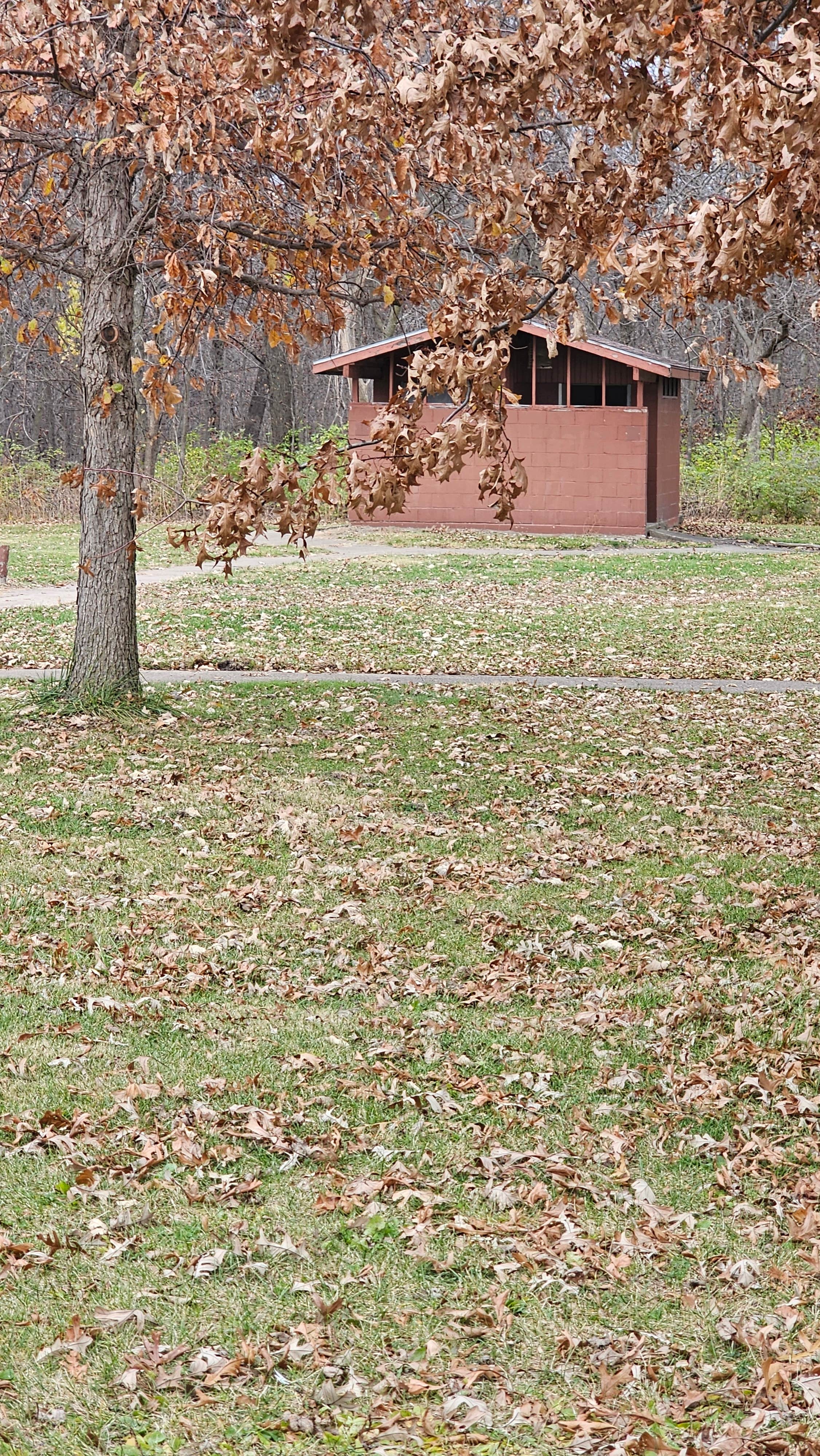 Camper-submitted photo at Virginia Grove Rec Area near Wapello, IA