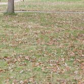 Review photo of Virginia Grove Rec Area by Travis R., November 18, 2024