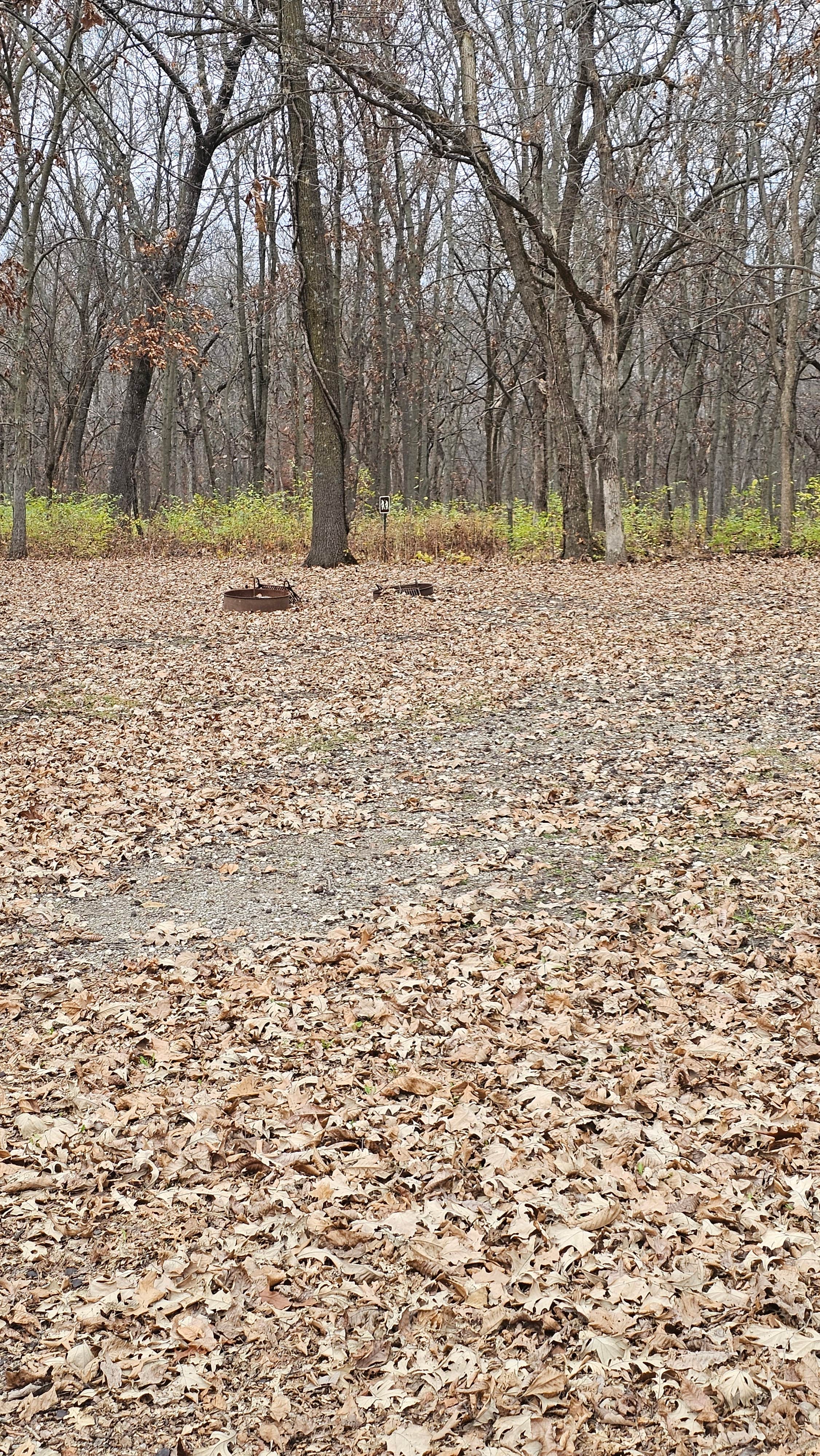 Camper submitted image from Virginia Grove Rec Area - 1