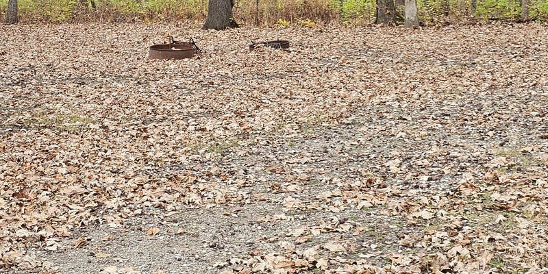 Camper submitted image from Virginia Grove Rec Area