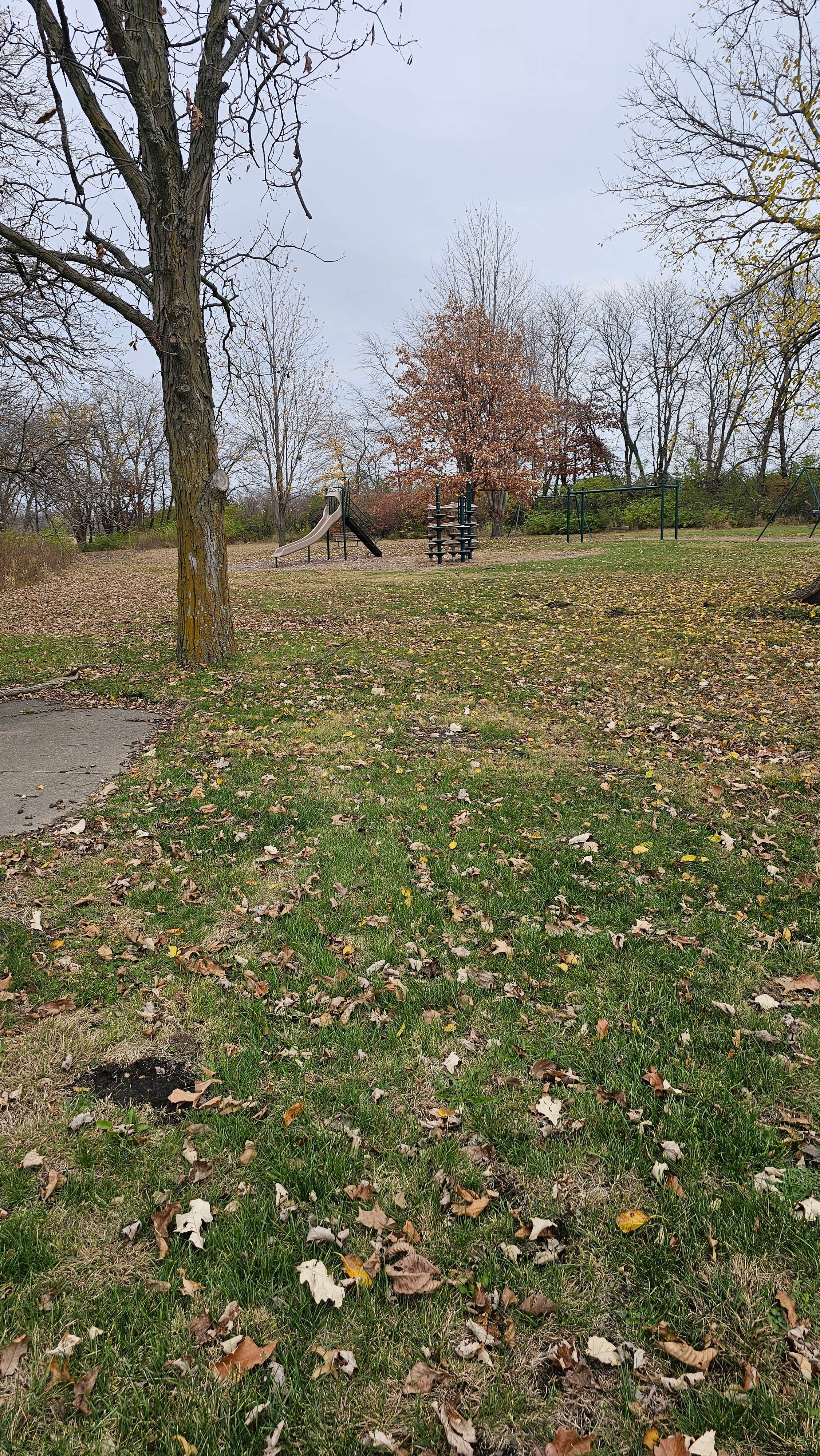 Camper-submitted photo at Virginia Grove Rec Area near Wapello, IA