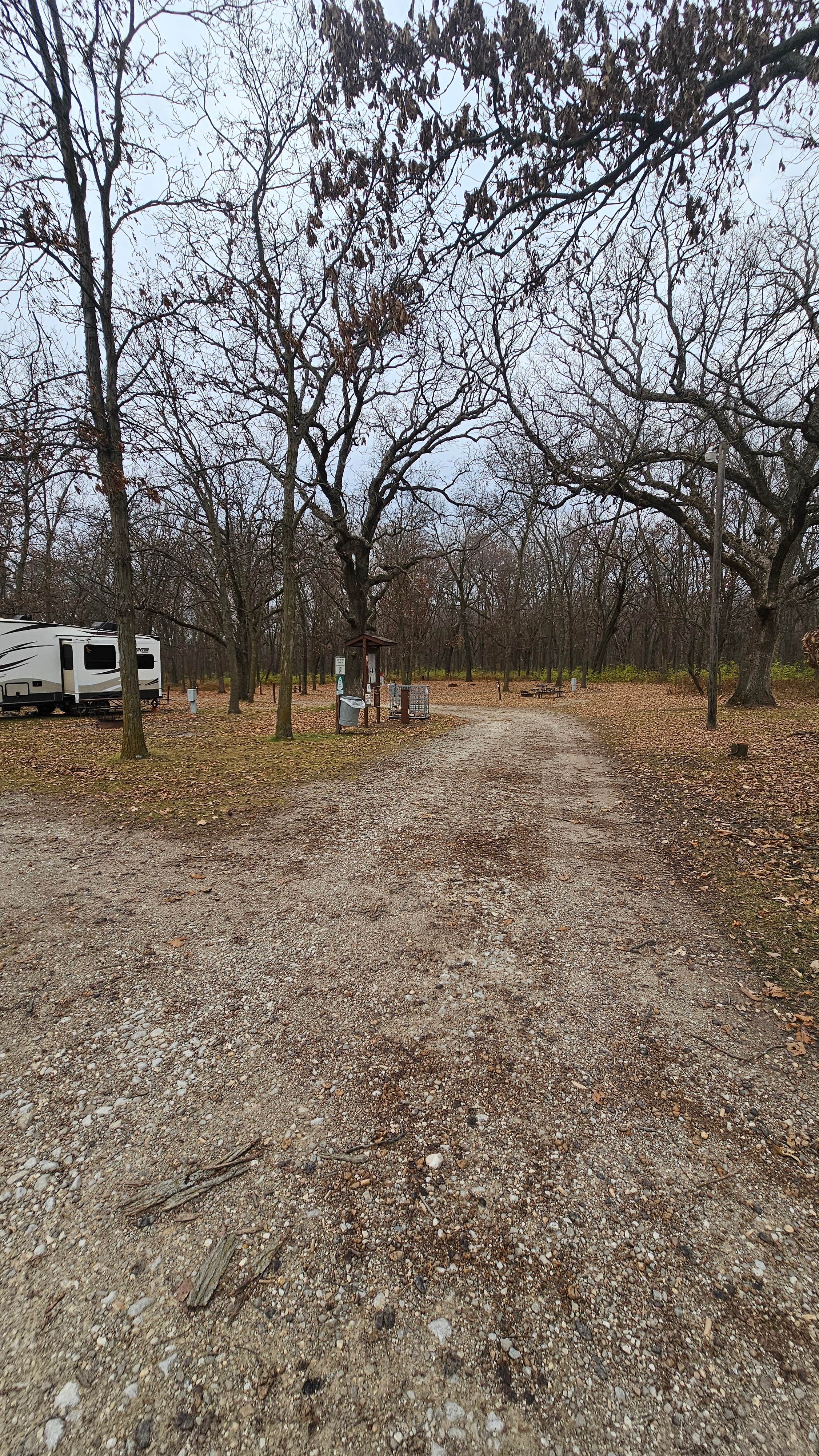 Camper submitted image from Virginia Grove Rec Area - 3