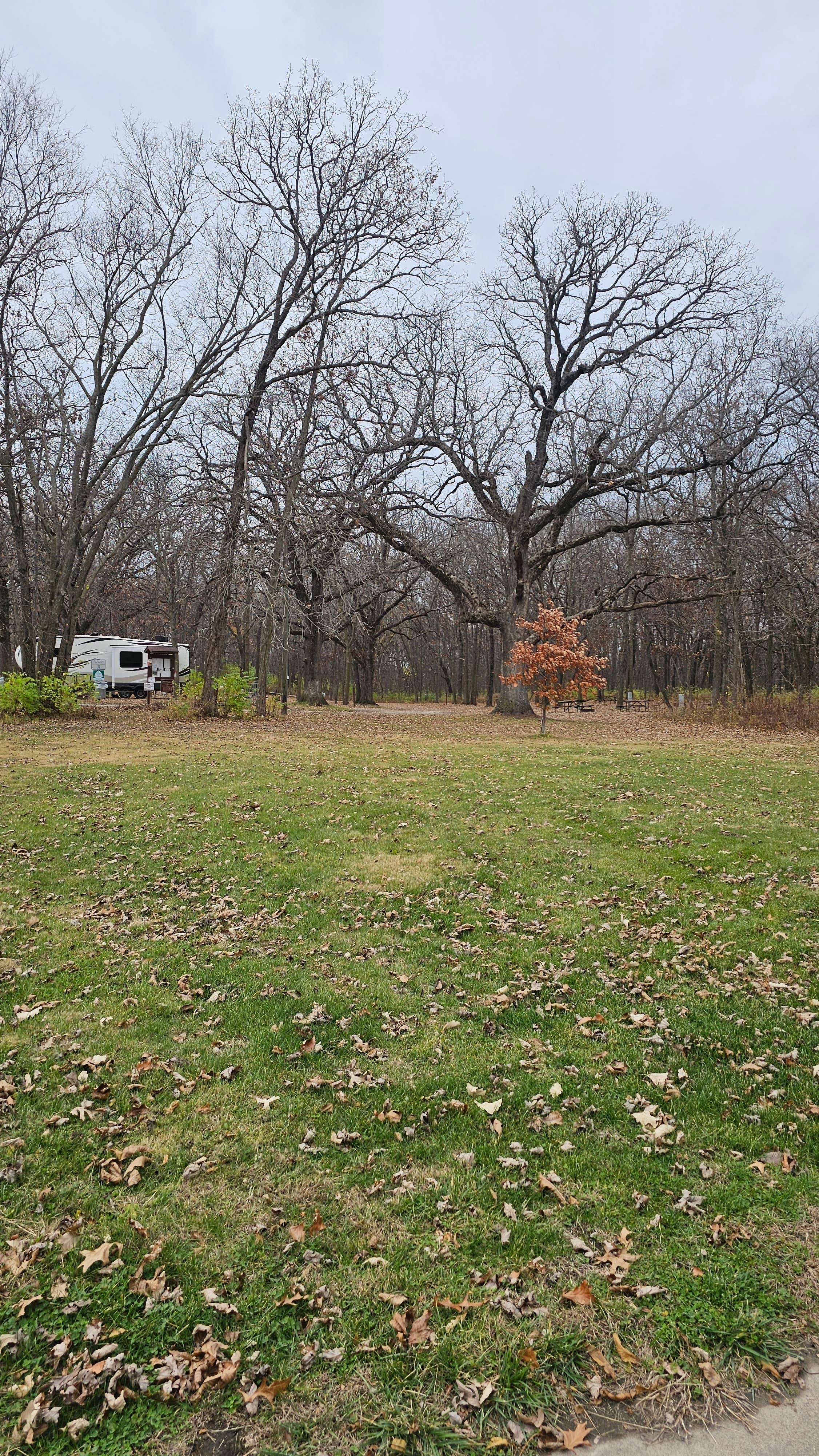 Camper-submitted photo at Virginia Grove Rec Area near Wapello, IA