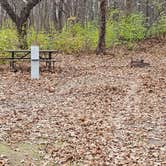 Review photo of Virginia Grove Rec Area by Travis R., November 18, 2024