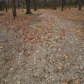 Review photo of Virginia Grove Rec Area by Travis R., November 18, 2024