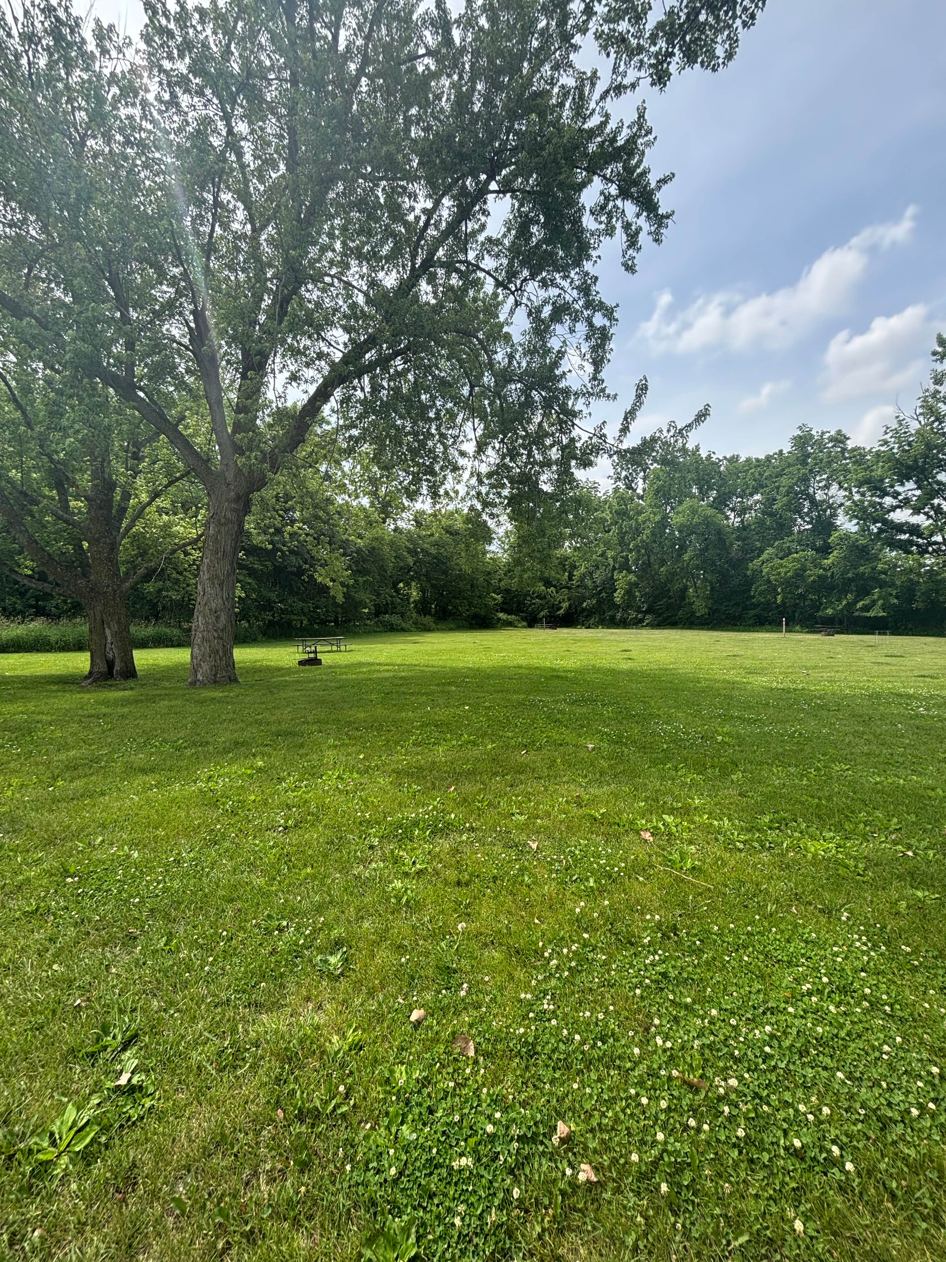 Camper-submitted photo at Walnut Grove Co Park near Wyoming, IA